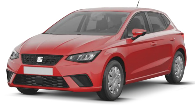 seat ibiza ant
