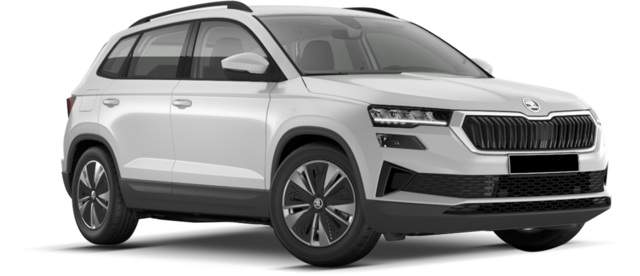 skoda karoq ant