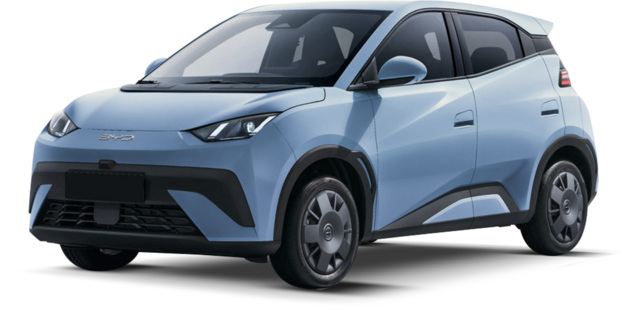 dolphin surf anteriore