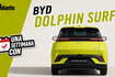 settimana con byd dolphin