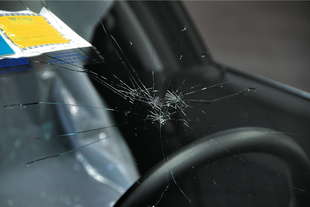 ragnatele pericolose