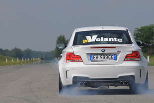 entra nel network alvolante