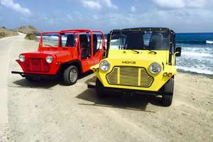 moke lei una nuova giovinezza