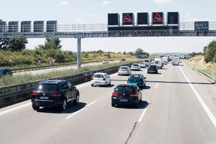 regole guida germania