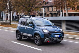 fiat panda diventa pandina