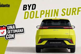una settimana byd dolphin surf