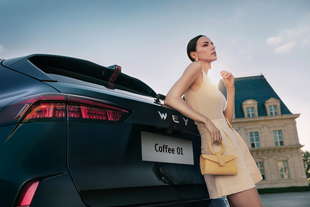 great wall vuole una fabbrica europa