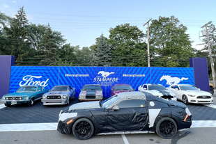 ford mustang 2023 foto spia info debutto