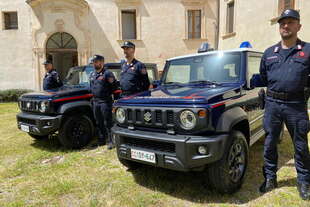 suzuki jimny pro carabinieri forestali