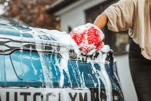 perche uccelli sembrano mirare tua auto