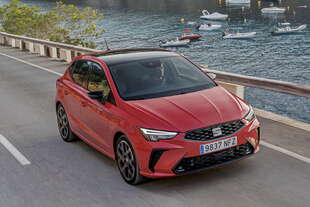 È sempre grintosa - Vai al primo contatto