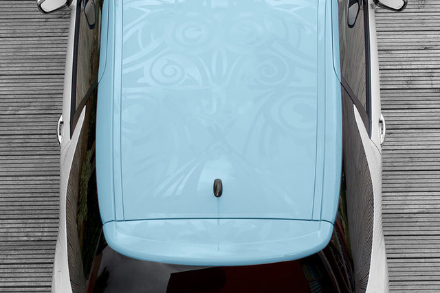 citroen ds3 19