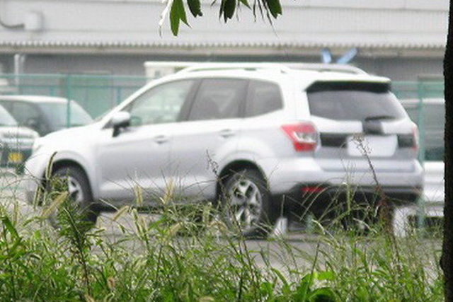 subaru forester spy 1