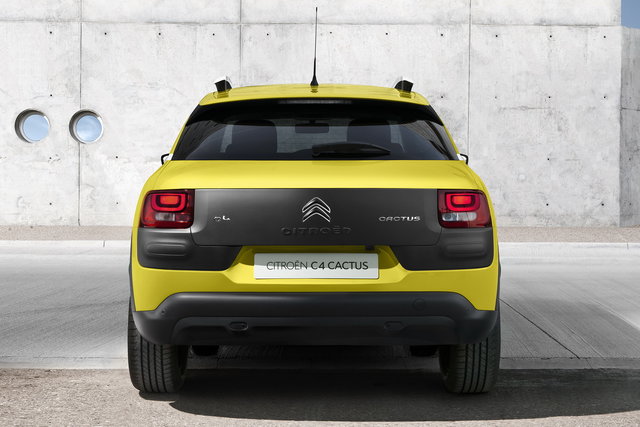 citroen c4 cactus 2014 10