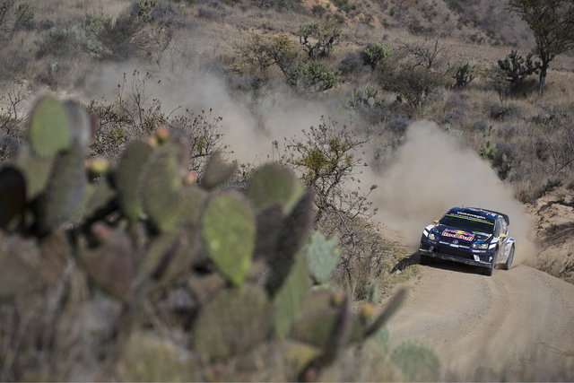 volkswagen rally messico 2016 5