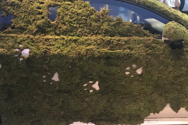 volvo v60 muschio 14