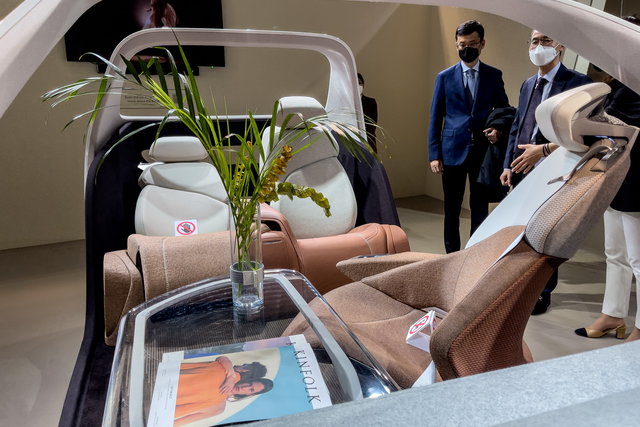 hyundai pelle eco 03