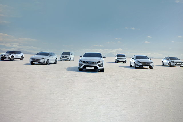 peugeot gamma