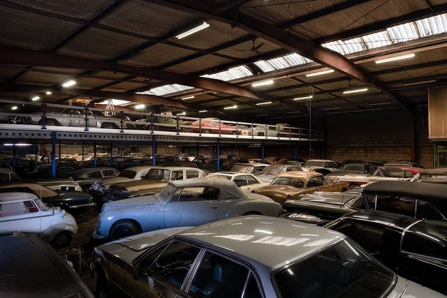 palmen barn find asta 08