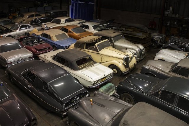 palmen barn find asta 11