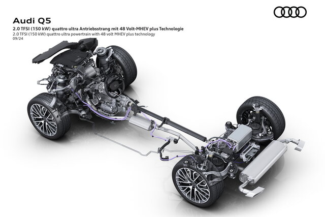 audi q5 2024 09 01
