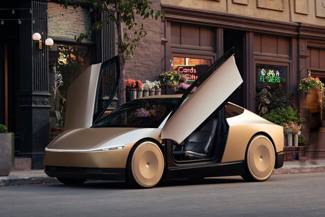 tesla robotaxi 2024 10