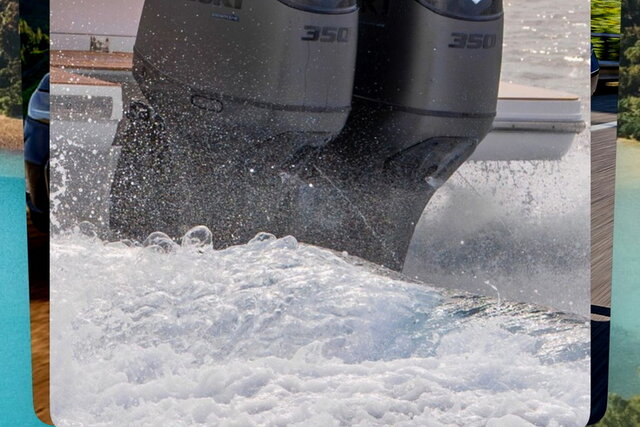 app suzuki 2024 11 5