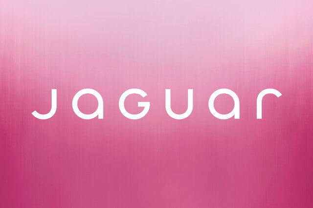jaguar logo 2024 11 1