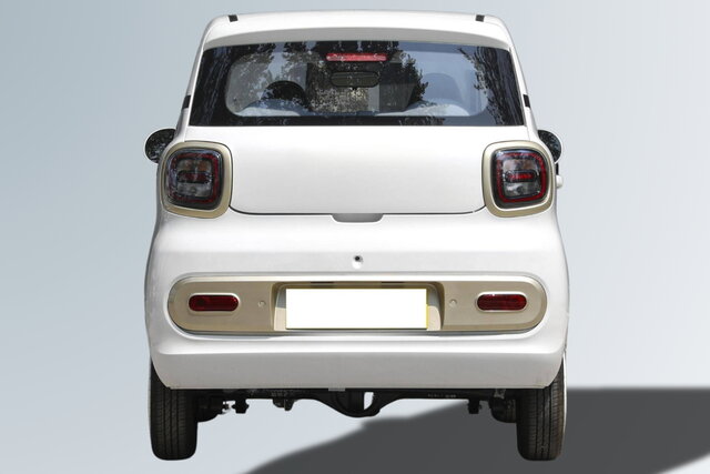desner y300 2025 02 4