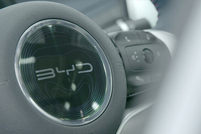 byd logo varie 3