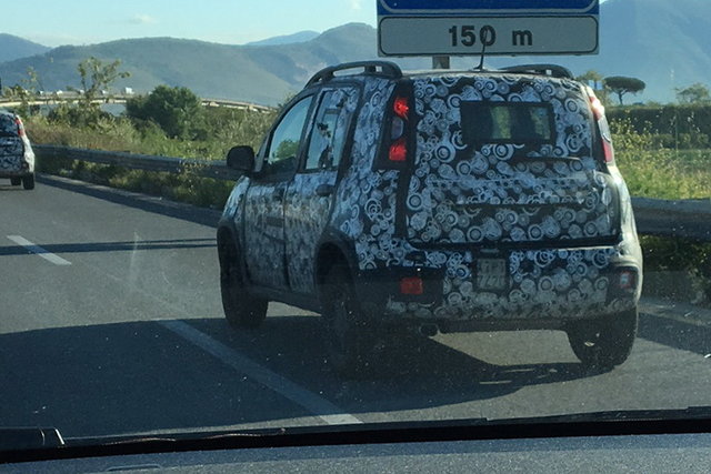 panda img 1607
