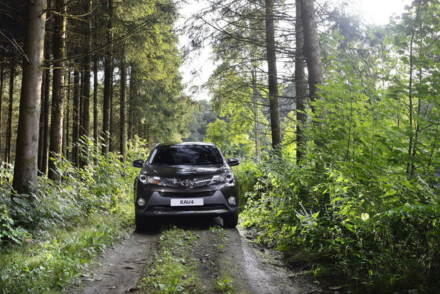 toyota rav4 20 anniversary 21