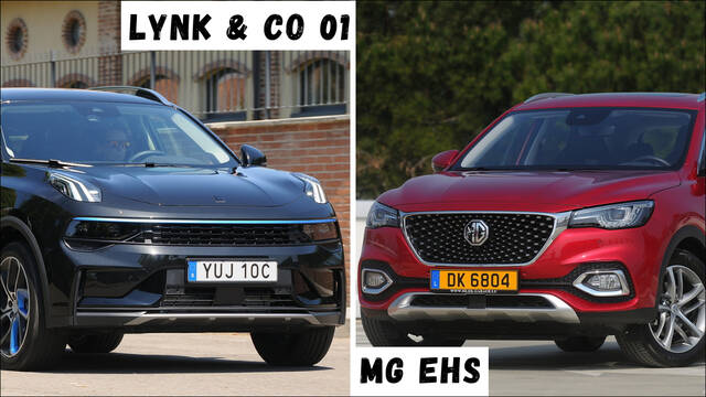 usato faccia lynk mg