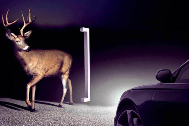 I sensori dell’auto per vedere di notte