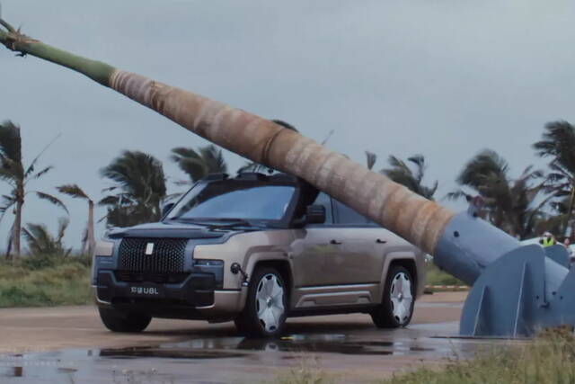 YangWang U8: le cade un albero addosso e non fa una piega