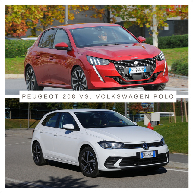 usato 208 polo m