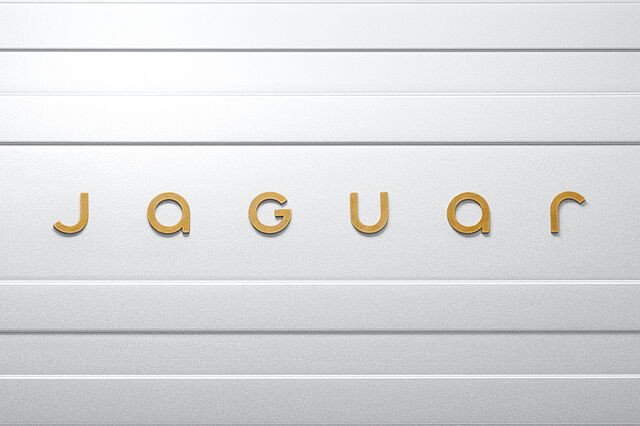 jaguar logo 2024 11