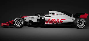 haas 2018 4
