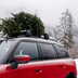 trasportare albero di natale in auto 06