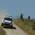 volkswagen polo wrc rally 2014 italia 2