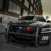 dodge charger pursuit police 2014 07