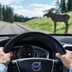volvo astazero circuito 10