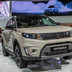 suzuki vitara 10