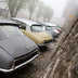 citroen ds raduno 60 anni 05