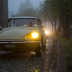 citroen ds raduno 60 anni 14