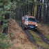 ford trazione integrale 05