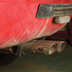 ferrari 365 gtb daytona barn find 16