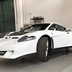 sp 110 edonis fenice 2