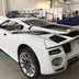 sp 110 edonis fenice 3
