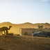 seat tarraco deserto 2